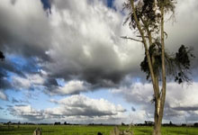 FUN88：林诗栋夺得WTT法兰克福冠军赛男单冠军人民日报客户端.