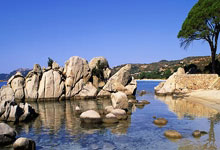 状态堪忧！东契奇上半场9投2中，命中率仅为22.2%.